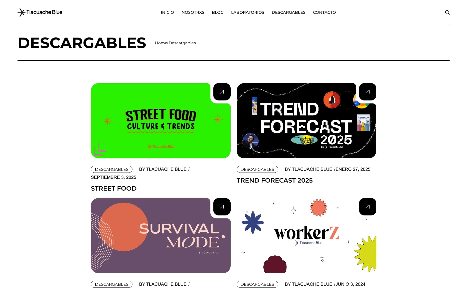 Rediseño web para Tlacuache Blue - Blog